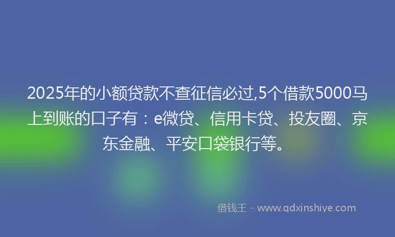 2025年的小额贷款不查征信必过,5个借款5000马上到账的口子有：e微贷、信用卡贷、投友圈、京东金融、平安口袋银行等。
