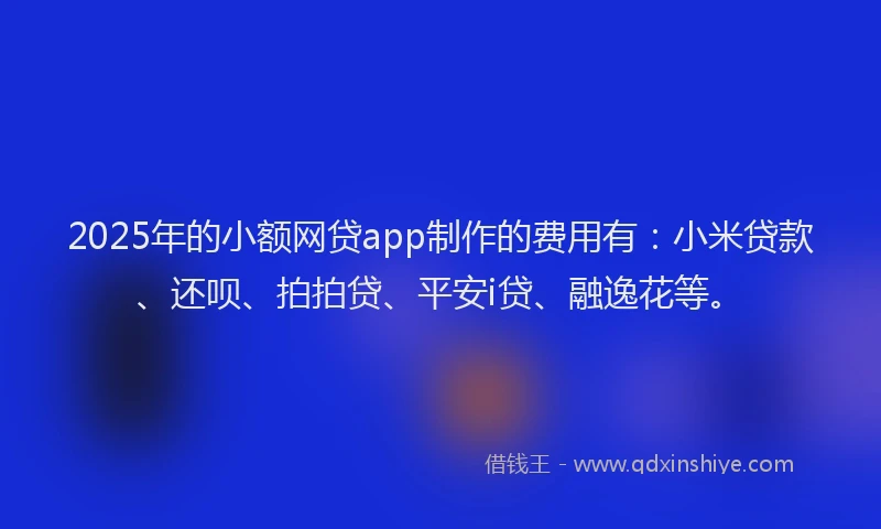 2025年的小额网贷app制作的费用有：小米贷款、还呗、拍拍贷、平安i贷、融逸花等。