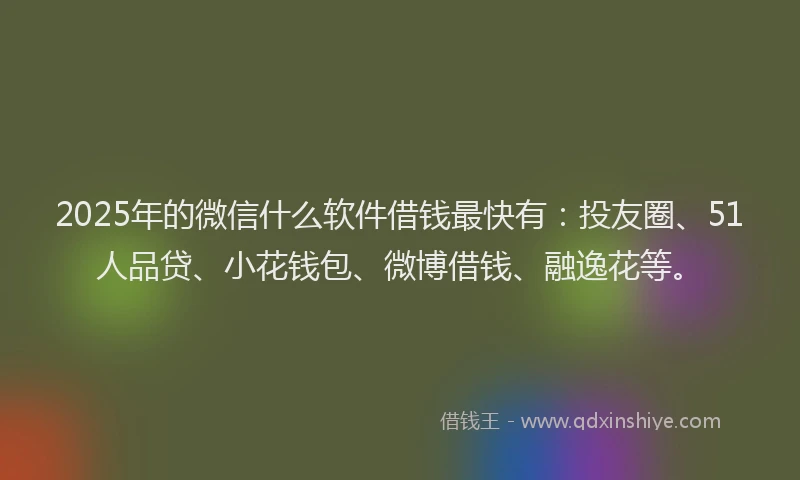 2025年的微信什么软件借钱最快有：投友圈、51人品贷、小花钱包、微博借钱、融逸花等。