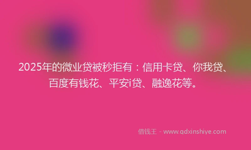 2025年的微业贷被秒拒有：信用卡贷、你我贷、百度有钱花、平安i贷、融逸花等。