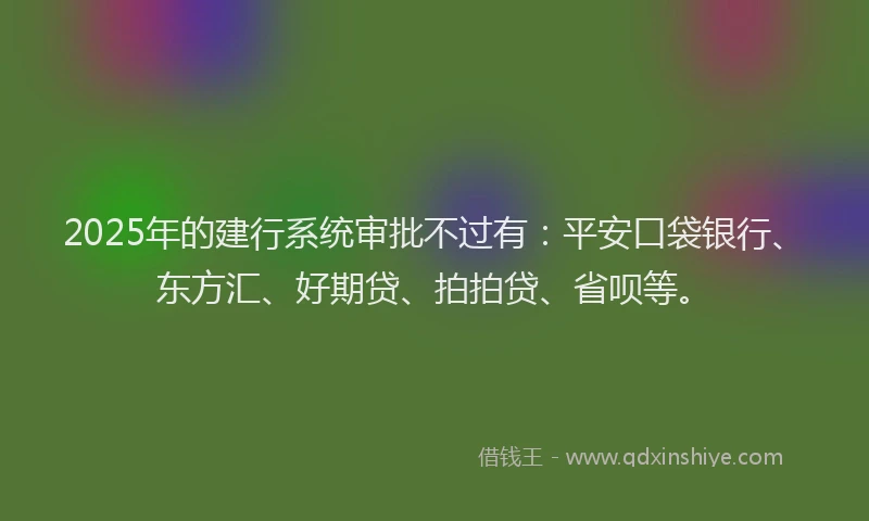2025年的建行系统审批不过有：平安口袋银行、东方汇、好期贷、拍拍贷、省呗等。