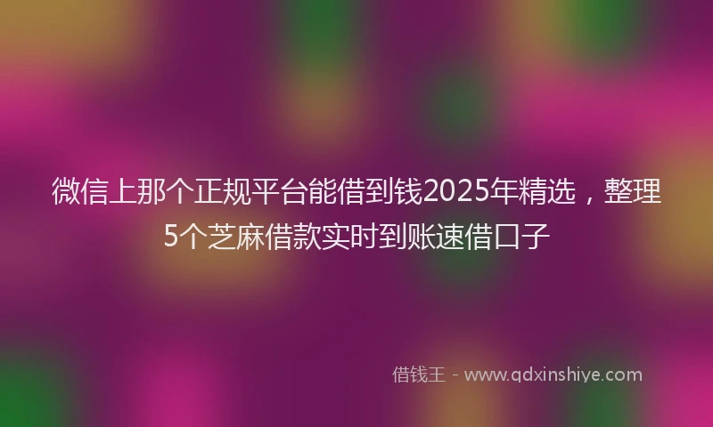 微信上那个正规平台能借到钱2025年精选，整理5个芝麻借款实时到账速借口子