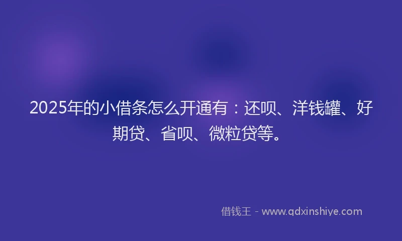 2025年的小借条怎么开通有：还呗、洋钱罐、好期贷、省呗、微粒贷等。
