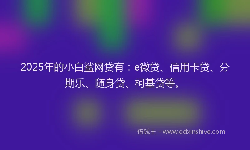 2025年的小白鲨网贷有：e微贷、信用卡贷、分期乐、随身贷、柯基贷等。