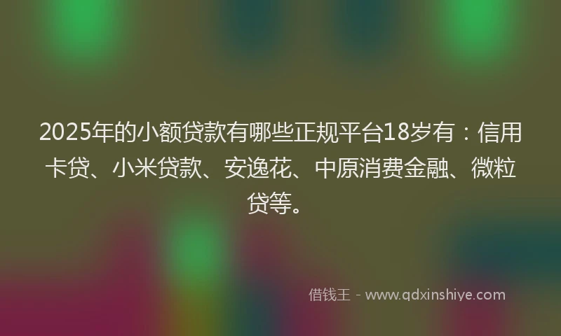 2025年的小额贷款有哪些正规平台18岁有：信用卡贷、小米贷款、安逸花、中原消费金融、微粒贷等。