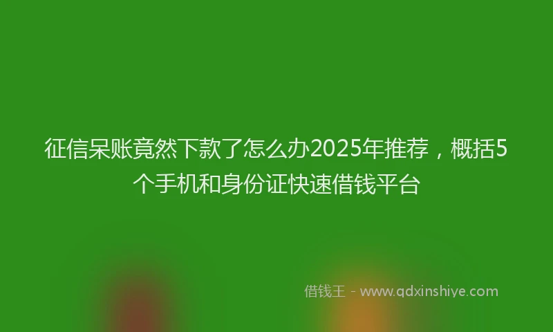 征信呆账竟然下款了怎么办2025年推荐，概括5个手机和身份证快速借钱平台