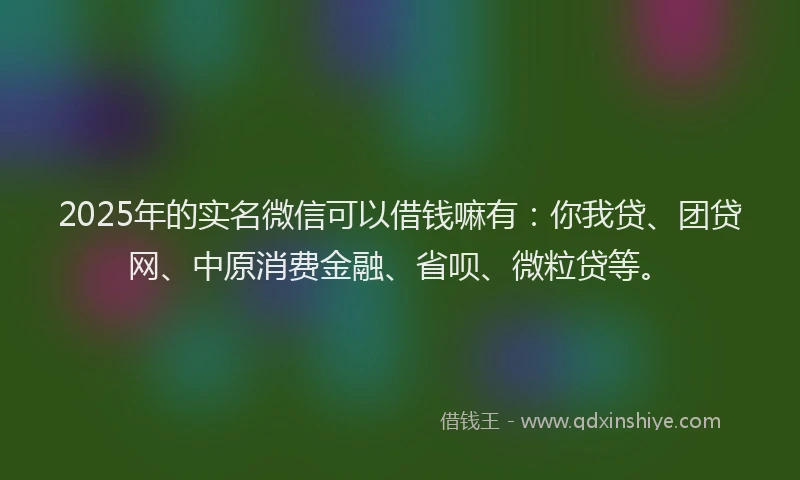 2025年的实名微信可以借钱嘛有：你我贷、团贷网、中原消费金融、省呗、微粒贷等。