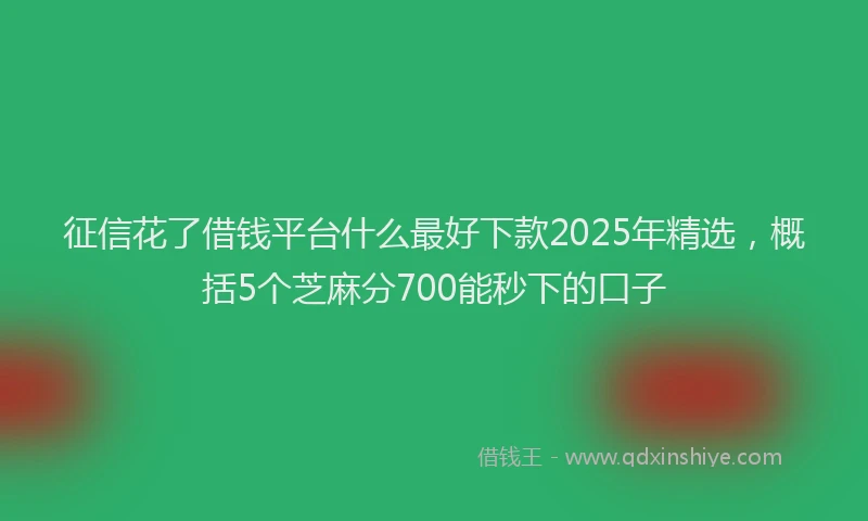 征信花了借钱平台什么最好下款2025年精选，概括5个芝麻分700能秒下的口子