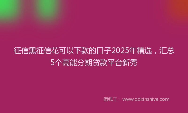 征信黑征信花可以下款的口子2025年精选，汇总5个高能分期贷款平台新秀