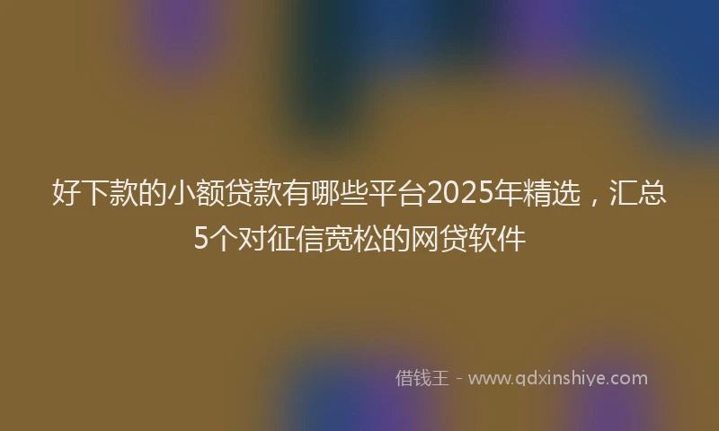 好下款的小额贷款有哪些平台2025年精选，汇总5个对征信宽松的网贷软件