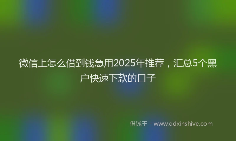 微信上怎么借到钱急用2025年推荐，汇总5个黑户快速下款的口子