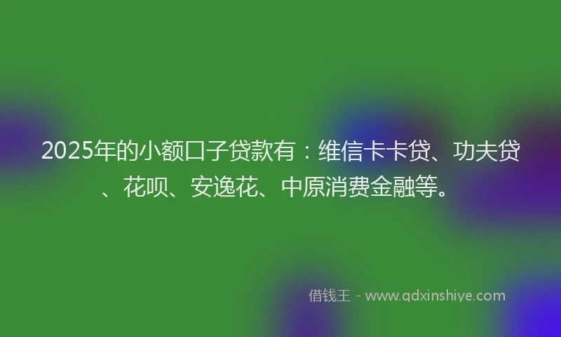 2025年的小额口子贷款有：维信卡卡贷、功夫贷、花呗、安逸花、中原消费金融等。