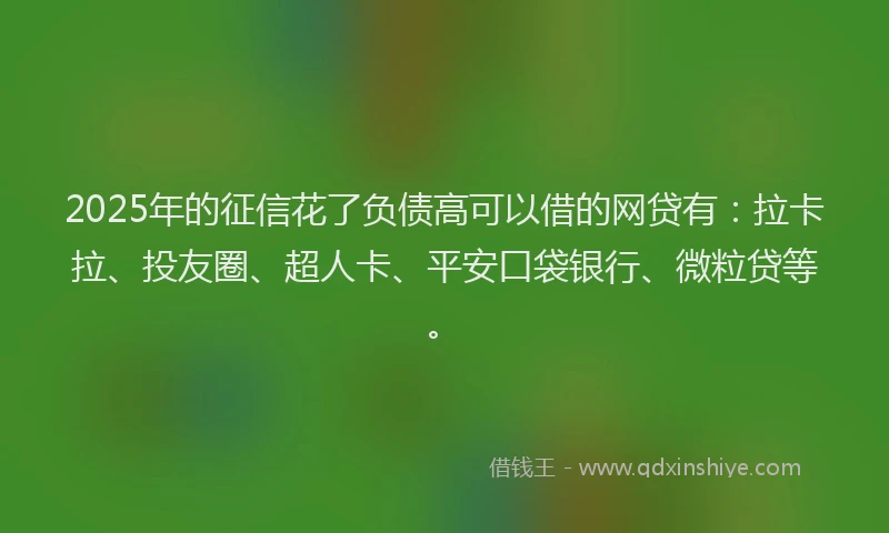 2025年的征信花了负债高可以借的网贷有：拉卡拉、投友圈、超人卡、平安口袋银行、微粒贷等。