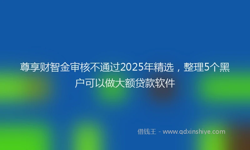 尊享财智金审核不通过2025年精选，整理5个黑户可以做大额贷款软件