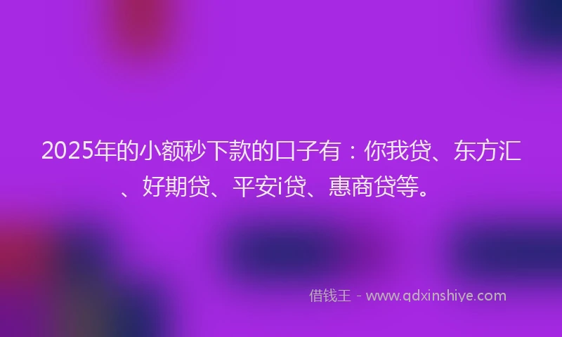 2025年的小额秒下款的口子有：你我贷、东方汇、好期贷、平安i贷、惠商贷等。