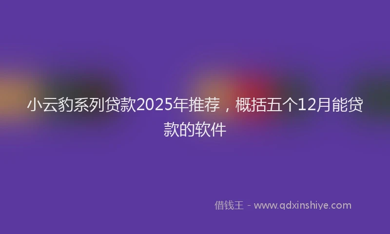 小云豹系列贷款2025年推荐，概括五个12月能贷款的软件