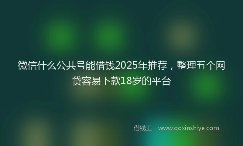 微信什么公共号能借钱2025年推荐，整理五个网贷容易下款18岁的平台