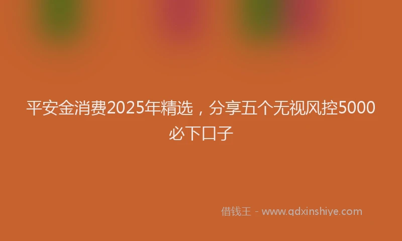 平安金消费2025年精选，分享五个无视风控5000必下口子