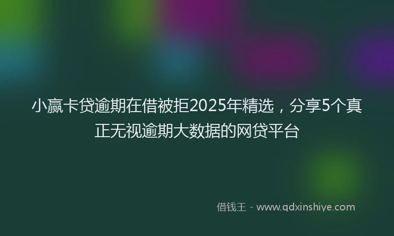 小赢卡贷逾期在借被拒2025年精选，分享5个真正无视逾期大数据的网贷平台