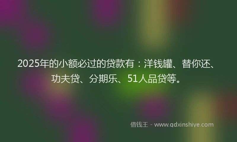 2025年的小额必过的贷款有：洋钱罐、替你还、功夫贷、分期乐、51人品贷等。