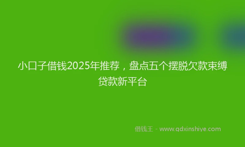 小口子借钱2025年推荐，盘点五个摆脱欠款束缚贷款新平台