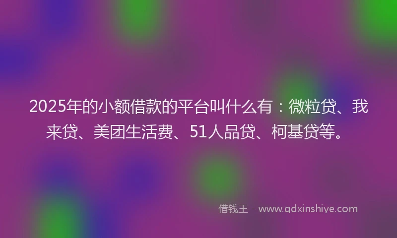 2025年的小额借款的平台叫什么有：微粒贷、我来贷、美团生活费、51人品贷、柯基贷等。