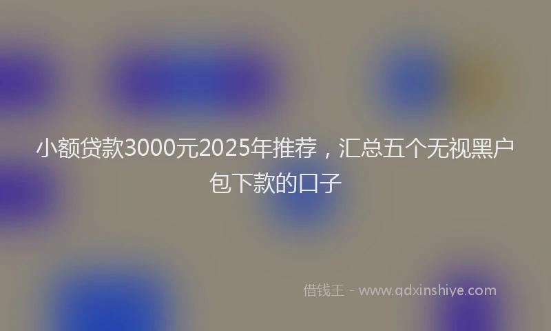 小额贷款3000元2025年推荐，汇总五个无视黑户包下款的口子
