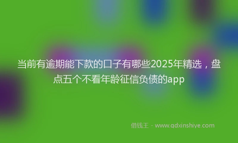 当前有逾期能下款的口子有哪些2025年精选，盘点五个不看年龄征信负债的app