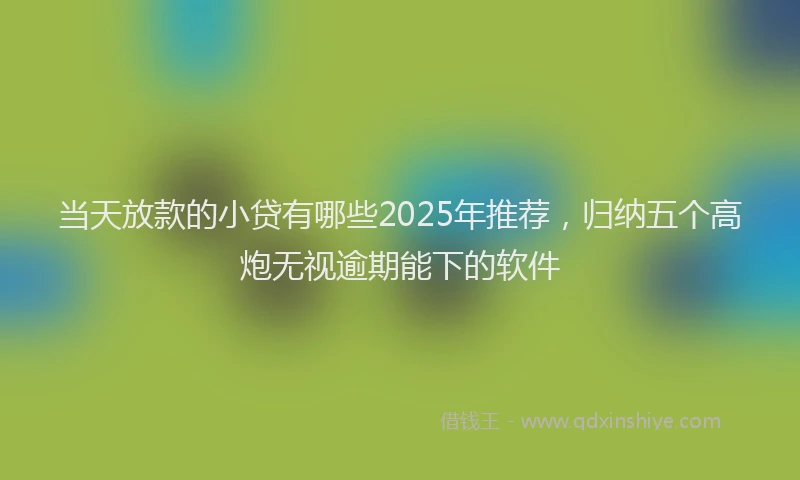 当天放款的小贷有哪些2025年推荐，归纳五个高炮无视逾期能下的软件