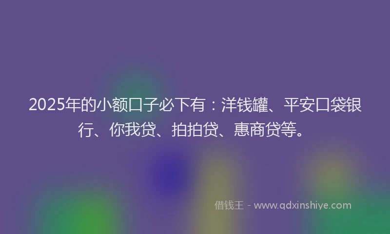 2025年的小额口子必下有：洋钱罐、平安口袋银行、你我贷、拍拍贷、惠商贷等。