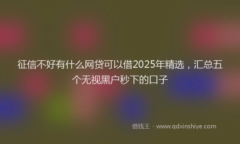征信不好有什么网贷可以借2025年精选，汇总五个无视黑户秒下的口子