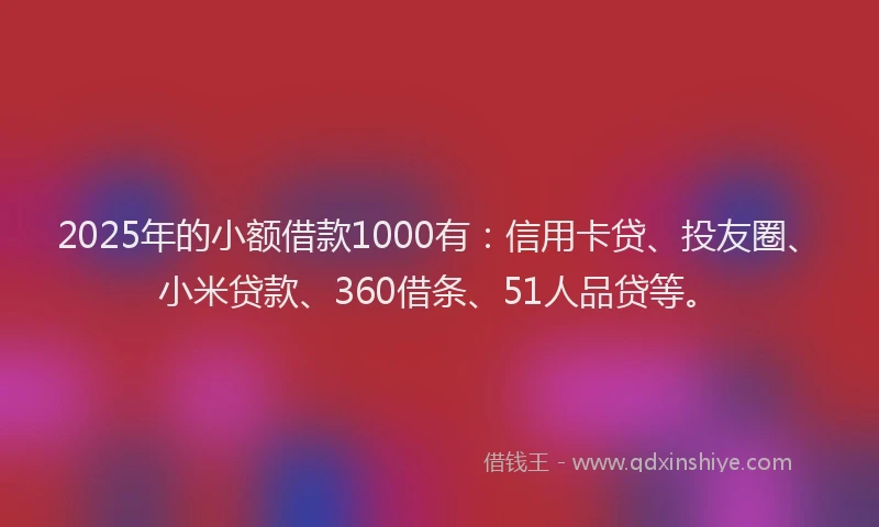 2025年的小额借款1000有：信用卡贷、投友圈、小米贷款、360借条、51人品贷等。