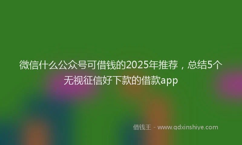 微信什么公众号可借钱的2025年推荐，总结5个无视征信好下款的借款app