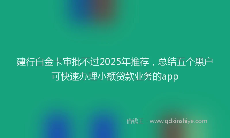 建行白金卡审批不过2025年推荐，总结五个黑户可快速办理小额贷款业务的app