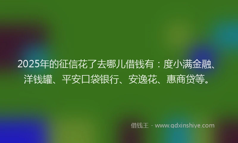2025年的征信花了去哪儿借钱有：度小满金融、洋钱罐、平安口袋银行、安逸花、惠商贷等。