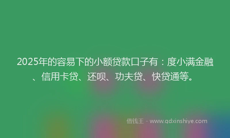 2025年的容易下的小额贷款口子有：度小满金融、信用卡贷、还呗、功夫贷、快贷通等。