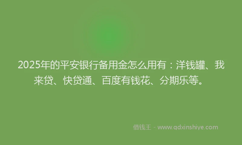 2025年的平安银行备用金怎么用有：洋钱罐、我来贷、快贷通、百度有钱花、分期乐等。