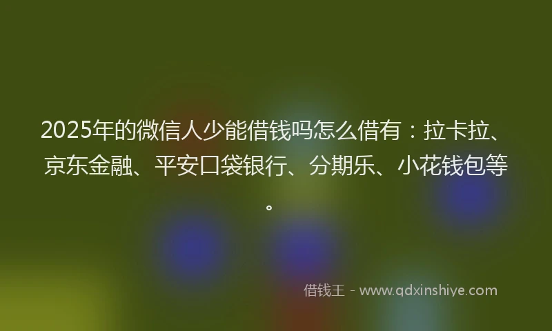 2025年的微信人少能借钱吗怎么借有：拉卡拉、京东金融、平安口袋银行、分期乐、小花钱包等。