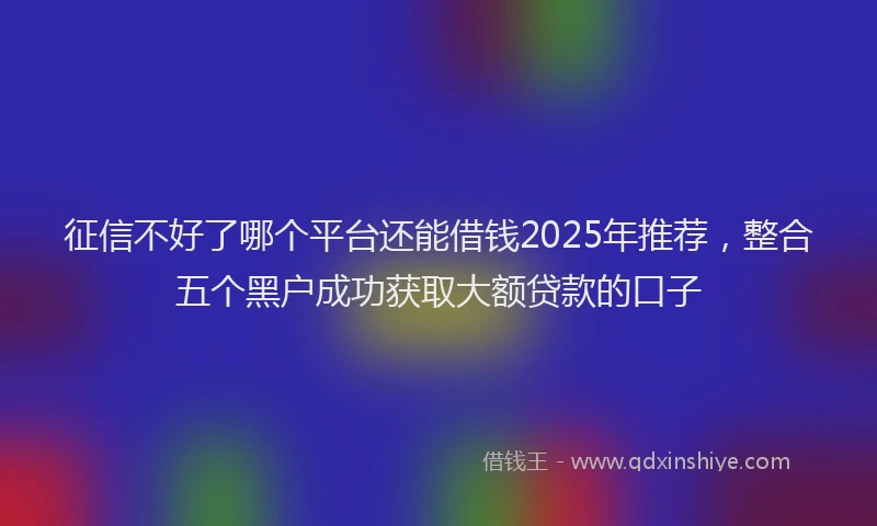 征信不好了哪个平台还能借钱2025年推荐，整合五个黑户成功获取大额贷款的口子