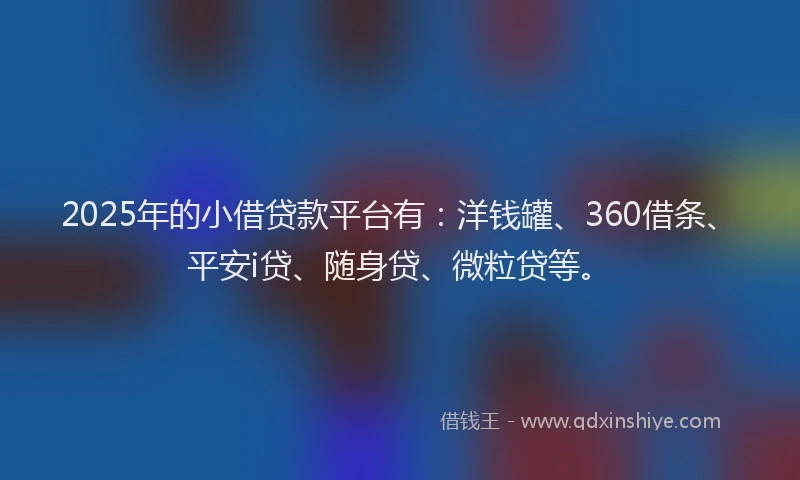 2025年的小借贷款平台有：洋钱罐、360借条、平安i贷、随身贷、微粒贷等。
