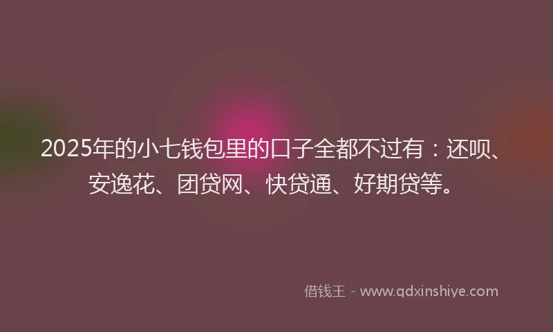 2025年的小七钱包里的口子全都不过有：还呗、安逸花、团贷网、快贷通、好期贷等。