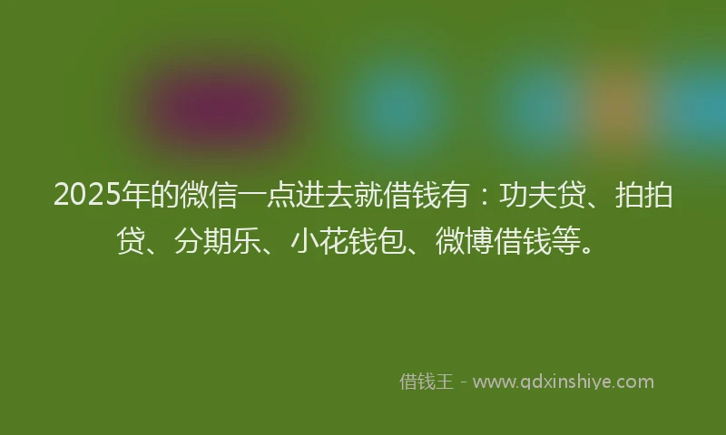 2025年的微信一点进去就借钱有：功夫贷、拍拍贷、分期乐、小花钱包、微博借钱等。
