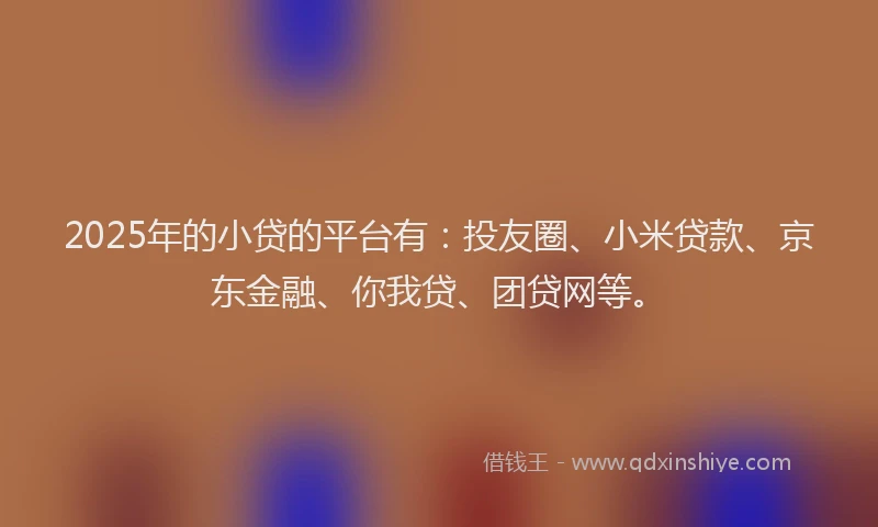 2025年的小贷的平台有：投友圈、小米贷款、京东金融、你我贷、团贷网等。