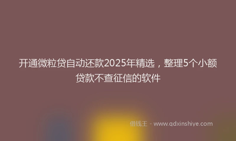 开通微粒贷自动还款2025年精选，整理5个小额贷款不查征信的软件