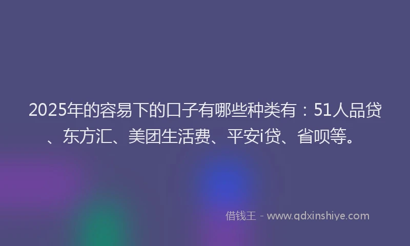 2025年的容易下的口子有哪些种类有：51人品贷、东方汇、美团生活费、平安i贷、省呗等。
