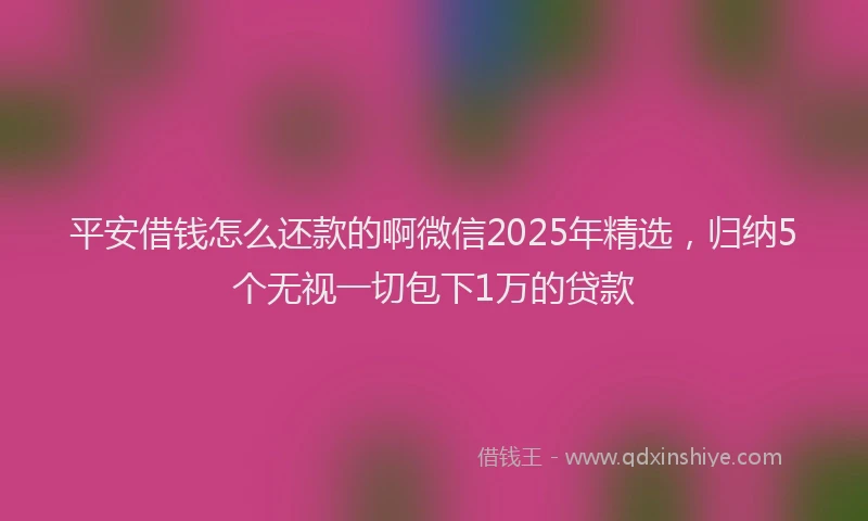 平安借钱怎么还款的啊微信2025年精选，归纳5个无视一切包下1万的贷款