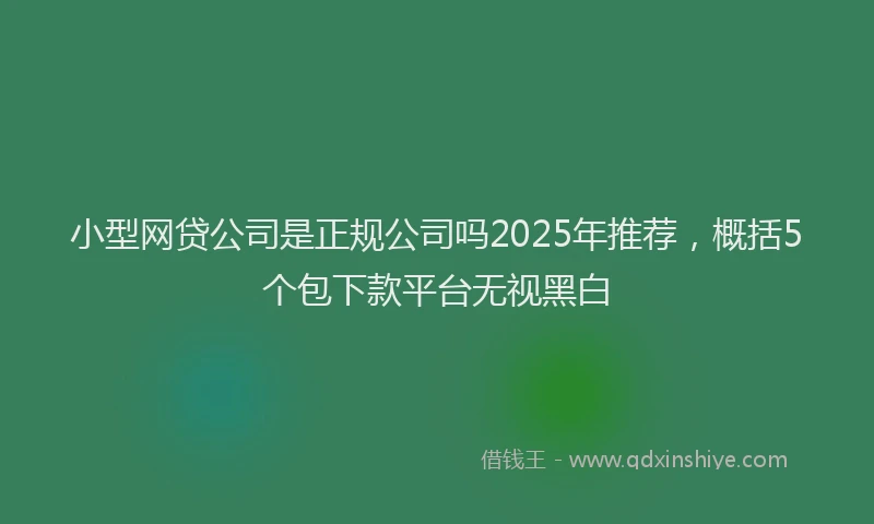 小型网贷公司是正规公司吗2025年推荐，概括5个包下款平台无视黑白