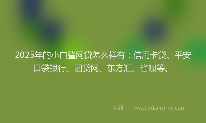 2025年的小白鲨网贷怎么样有：信用卡贷、平安口袋银行、团贷网、东方汇、省呗等。