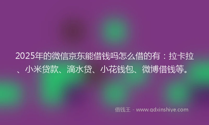 2025年的微信京东能借钱吗怎么借的有：拉卡拉、小米贷款、滴水贷、小花钱包、微博借钱等。
