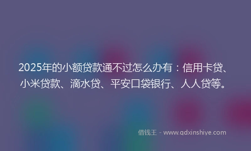 2025年的小额贷款通不过怎么办有：信用卡贷、小米贷款、滴水贷、平安口袋银行、人人贷等。